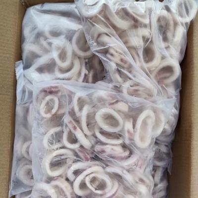 Khoanh mực Trung quốc